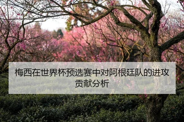 梅西在世界杯预选赛中对阿根廷队的进攻贡献分析