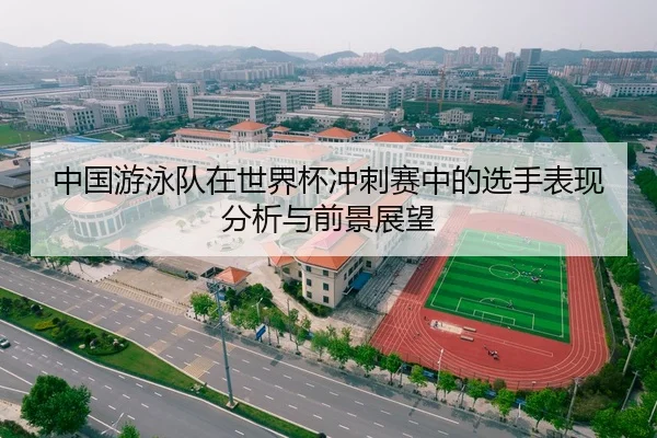 中国游泳队在世界杯冲刺赛中的选手表现分析与前景展望
