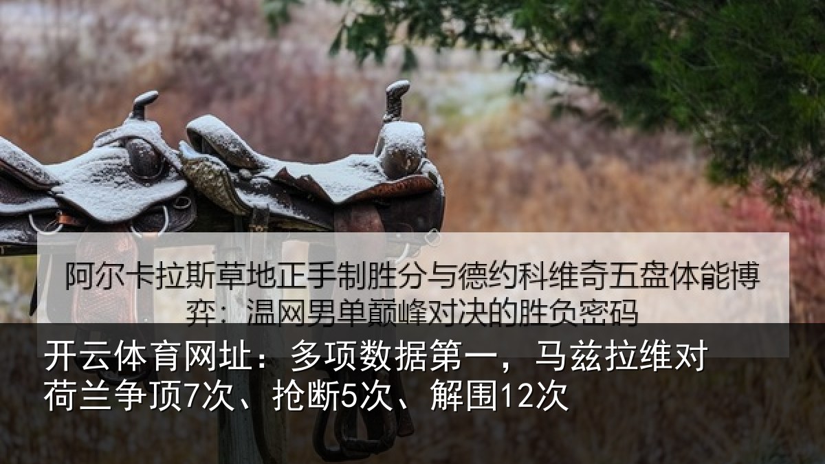 开云体育网址：多项相关情况对荷兰相关情况12次