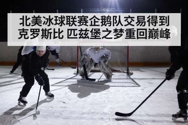 北美冰球联赛企鹅队交易得到克罗斯比 匹兹堡之梦重回巅峰